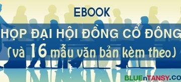 ebook dai hoi dong co dong