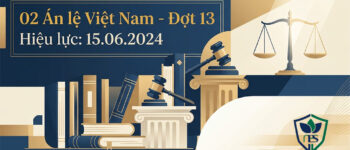 ÁN LỆ SỐ 72/2024 – Về xác định di sản thừa kế là quyền sử dụng đất trong trường hợp di chúc không thể hiện diện tích đất cụ thể